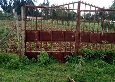 Slightly over quarter acre land