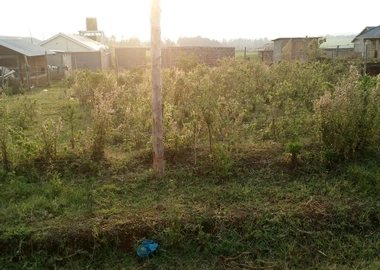 5 acre land in syokimau