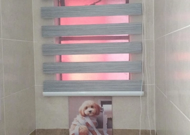 Zebra roller window blinds