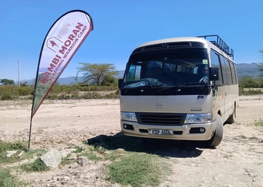 Executive coaster buses for hire