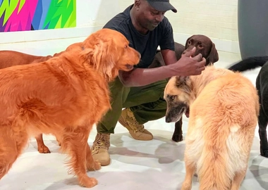 Dog training & services