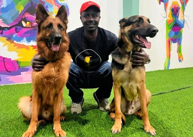 Dog training & services