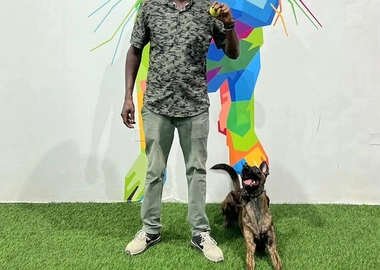 Dog training & services