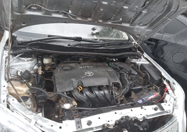 Toyota fielder