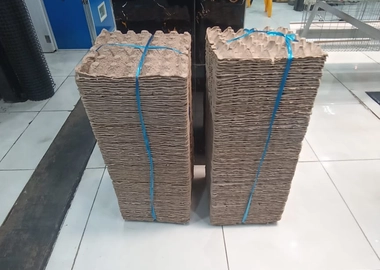 100pcs water proof egg trays