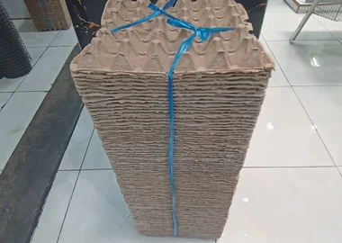 100pcs water proof egg trays