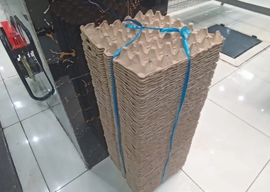 100pcs water proof egg trays