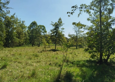 5 acres prime commercial land