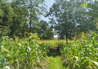 5 acres prime commercial land