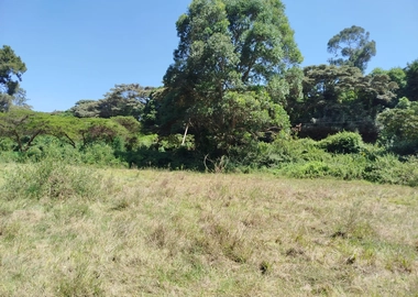 5 acres prime commercial land