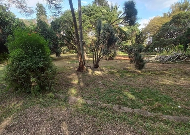 4.9 acre property for sale