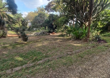 4.9 acre property for sale