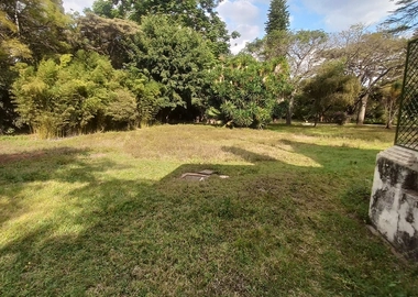 4.9 acre property for sale