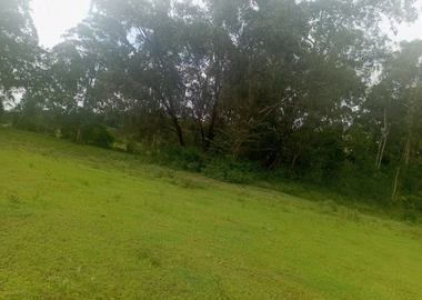 5 acres for sale in Karen