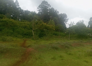 5 acres for sale in Karen