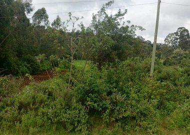 5 acres for sale in Karen