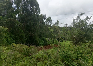 5 acres for sale in Karen