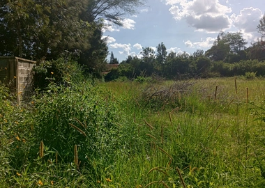 Half acre for sale in Karen