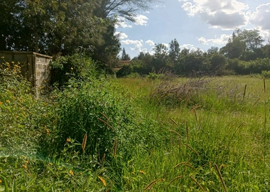 Half acre for sale in Karen