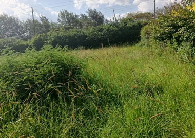 Half acre for sale in Karen