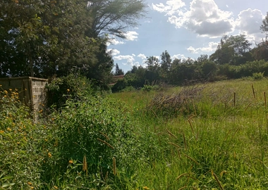 Half acre for sale in Karen