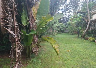 4 bedroom mansionette for rent