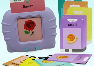Flash card reader toy