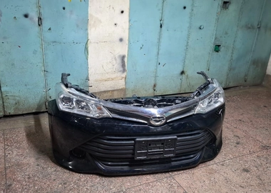 Axio 2015 Nosecut 165 model NonXenon
