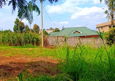 100*100 land in kikuyu thamanda