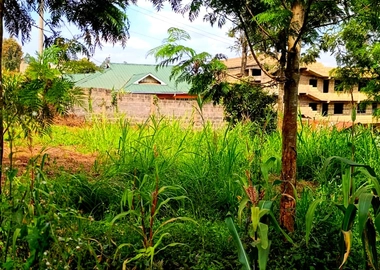 100*100 land in kikuyu thamanda