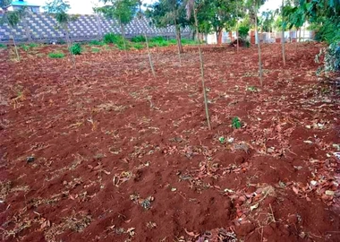 100*100 land in Kikuyu thamanda