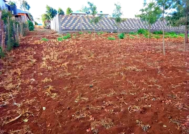 100*100 land in Kikuyu thamanda