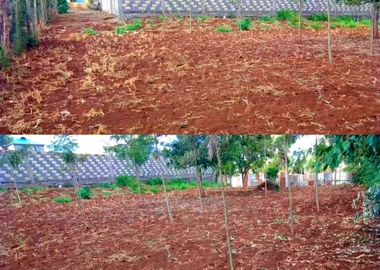 100*100 land in Kikuyu thamanda