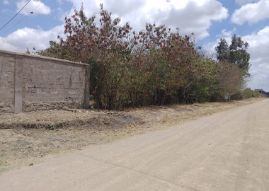50*100 plots for sale in juja farm