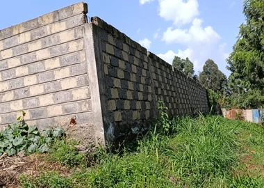 100*100 Kikuyu thamanda