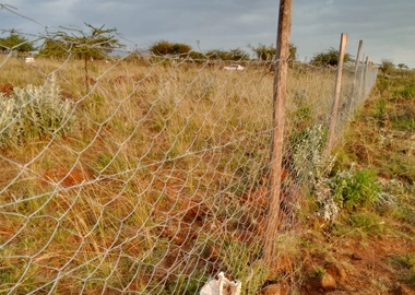 50*100 plots for sale in ngong
