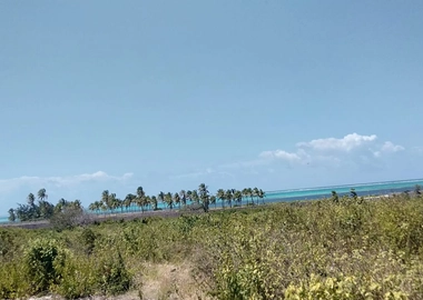 Prime beach plots for sale in malindi