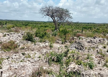 Prime beach plots for sale in malindi