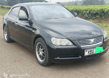 Mark x
