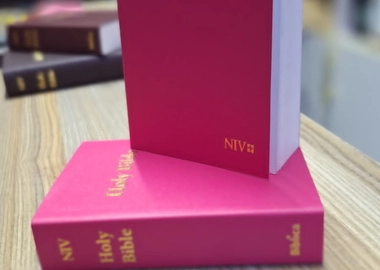 Holy Bible NIV