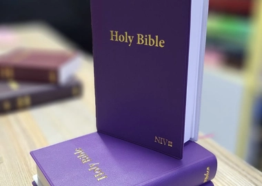 Holy Bible NIV mini purple