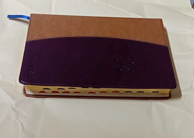 NIV Holy Bible reference