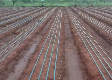 Drip tape 1000mtrs double emitters