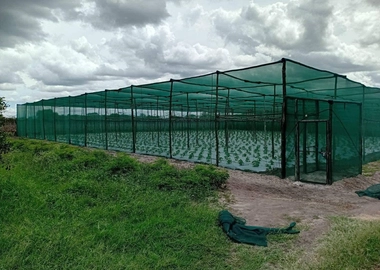 Shade nets 4*50mm