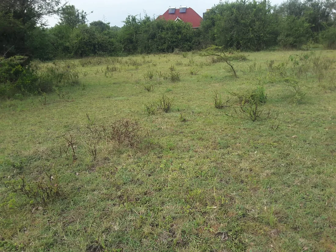 2 acre residential land