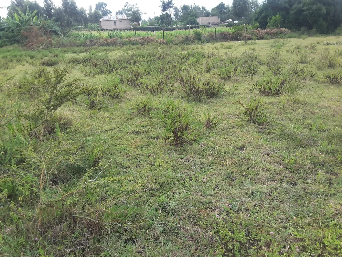 2 acre residential land