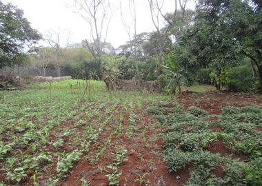 0.5-Acre Plot For Sale in a Gated Community in Karen Hardy