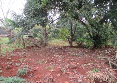 0.5-Acre Plot For Sale in a Gated Community in Karen Hardy