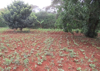 0.5-Acre Plot For Sale in a Gated Community in Karen Hardy