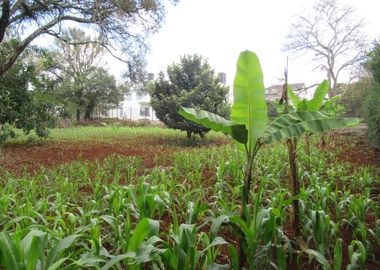 0.5-Acre Plot For Sale in a Gated Community in Karen Hardy